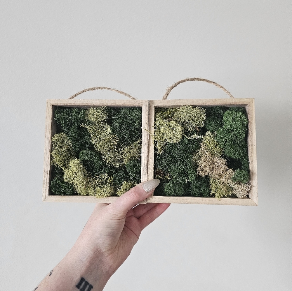 Handcrafted Green Moss Wall Art Decor handmade 5x5 2 Pieces - Picture 1 of 2